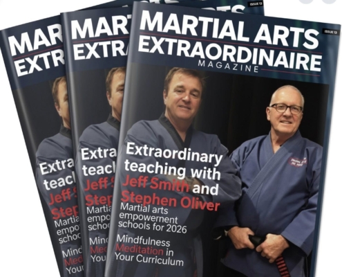 media-martial-arts-extraordinaire-cover
